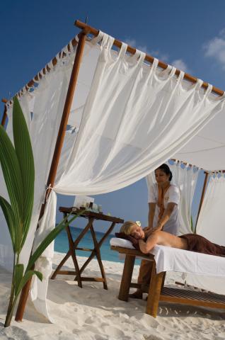 Coco Palm fac1