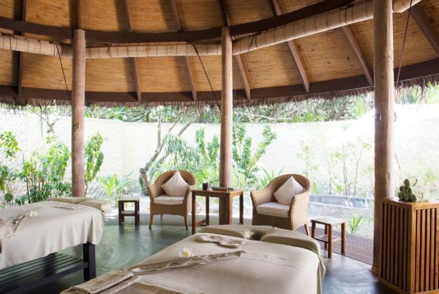 Coco Palm fac3