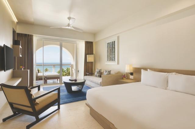 Hyatt Ziva Rose Hall 11 suit (4)