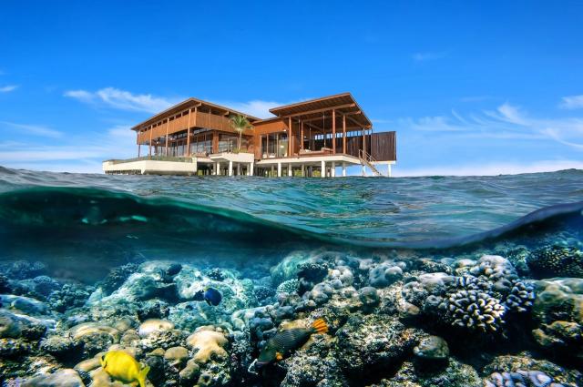 Park Hyatt Maldives Hadahaa 3 (2)