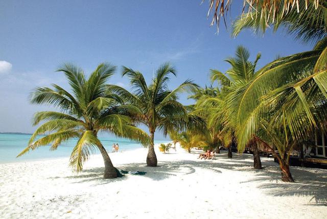 Kuredu Island ext1 (11)