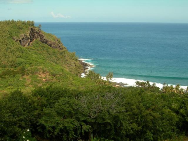 Reunion-Palm-Hotel-1355.JPG
