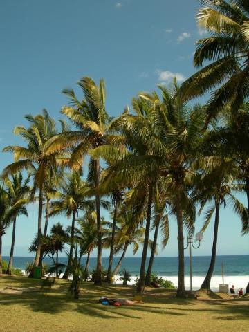 Reunion-Palm-Hotel-1360.JPG