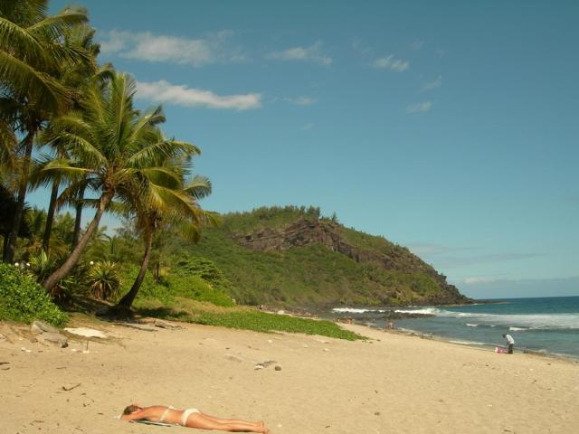 Reunion-Palm-Hotel-plaz-13110.JPG