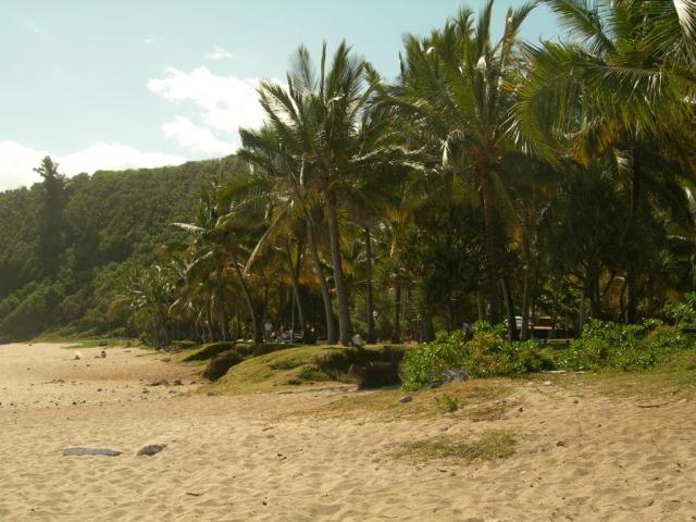 Reunion-Palm-Hotel-plaz-13115.JPG