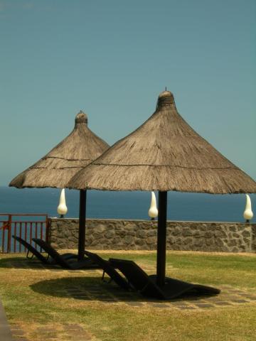 Reunion-Palm-Hotel-lehatka-1340.JPG