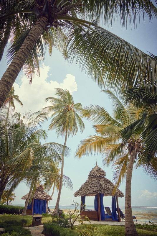 The Palms 1 (7)