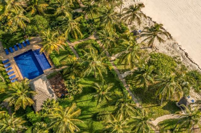The Palms 1 (2)