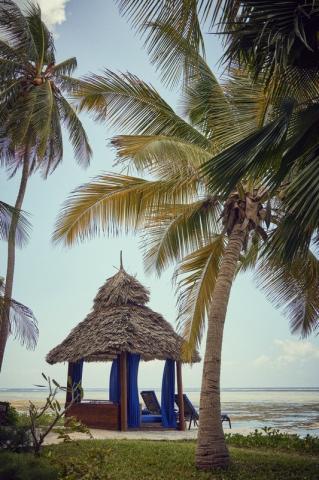 The Palms 1 (5)