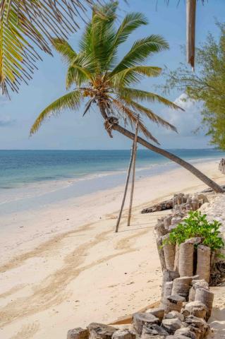 Breezes Beach Club 2 (5)