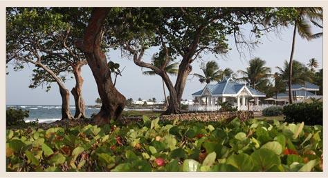 Tobago-MagdalenaGBR-1555