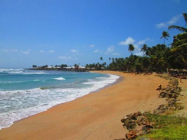 Tobago-MagdalenaGBR-beach-1540