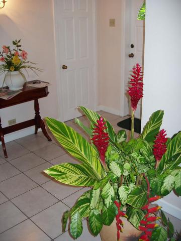 tobago-plantation-beach-villa-10-33