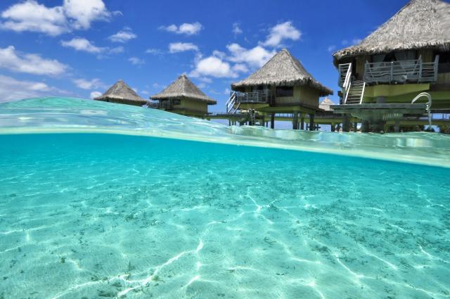 IC Bora Bora Le Moana 2 (7)