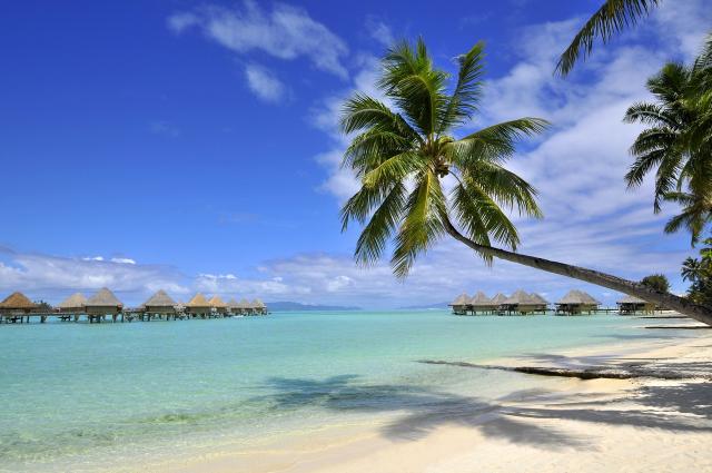 IC Bora Bora Le Moana 3 (5)