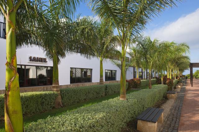 Melia Dunas Beach ext (13)