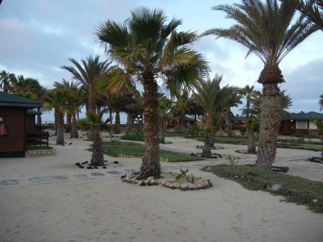 Kapverdy-Oasis-Belorizonte-14135.JPG