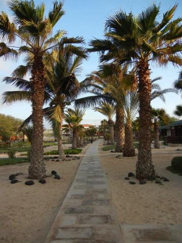 Kapverdy-Oasis-Belorizonte-promenada-14140.JPG