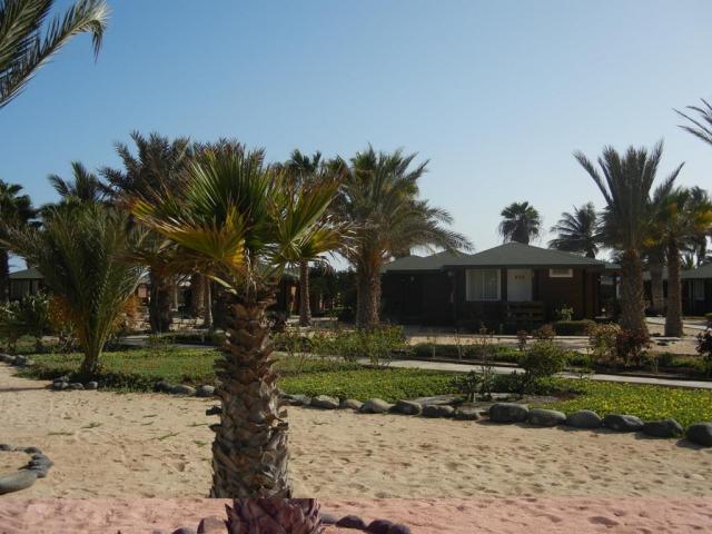 Kapverdy-Oasis-Belorizonte-1410.JPG