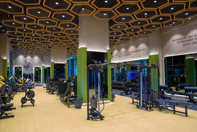RegnumCarya_Beehive_FitnessCenter-01(1)