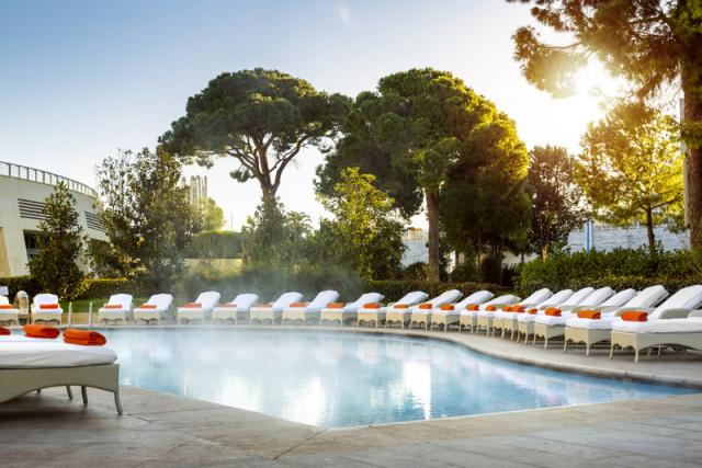 Heated Pool spa outdoor 4