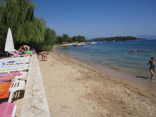 Achilleas_1710.JPG
