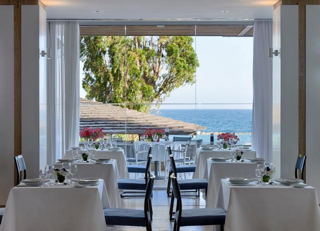 apollonia food (6)