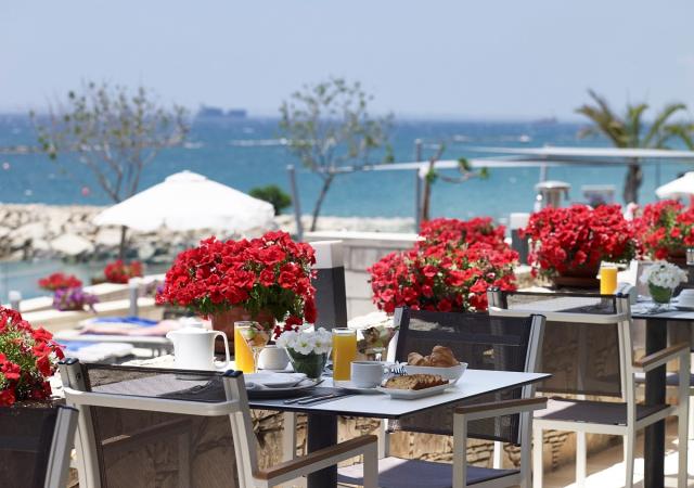 apollonia food (9)