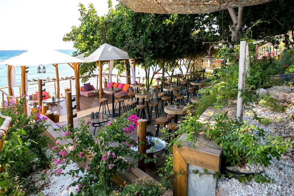 golden coast int (7)
