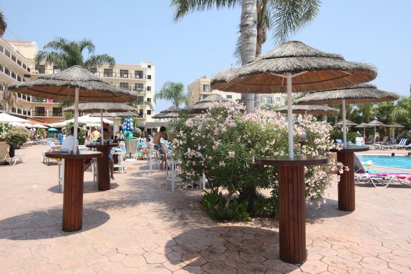 tsokkos gardens ext (12)