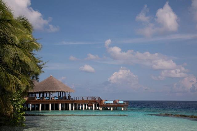Coco Bodu Hithi 1 (7)