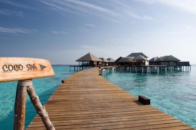 Coco Bodu Hithi 1 (10)