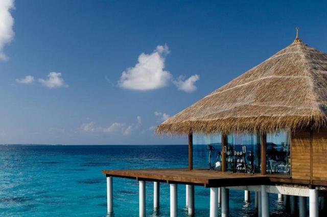 Coco Bodu Hithi 2 (6)