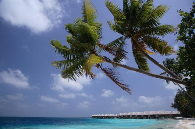 Coco Bodu Hithi 3 (8)