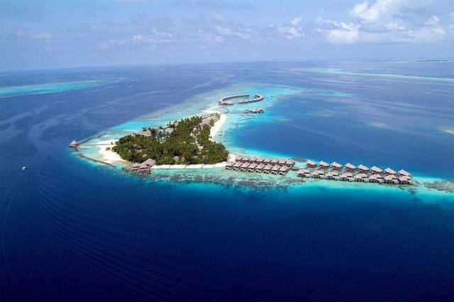 Coco Bodu Hithi 1 (2)