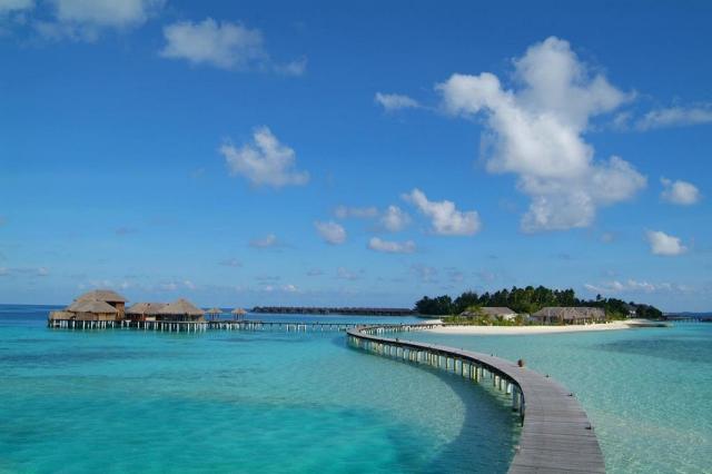 Coco Bodu Hithi 1 (6)