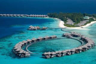 Coco Palm Bodu Hithi
