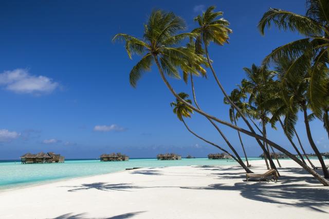 Gili Lankanfushi Maldives 2 (1)