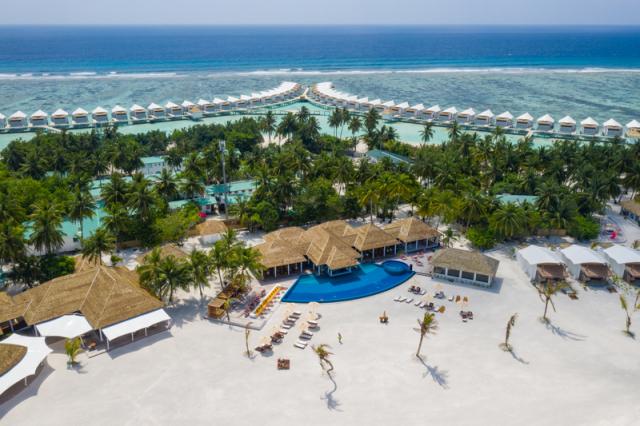 Cinnamon Hakuraa Huraa (4)