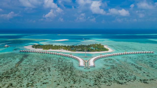 Cinnamon Hakuraa Huraa (2)