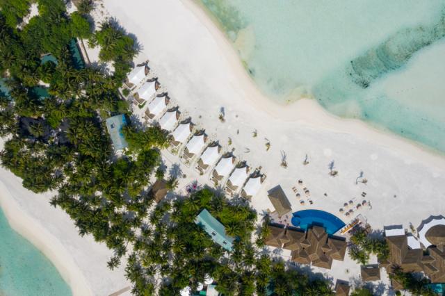 Cinnamon Hakuraa Huraa (14)
