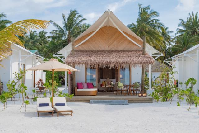 Cinnamon Hakuraa Huraa (15)