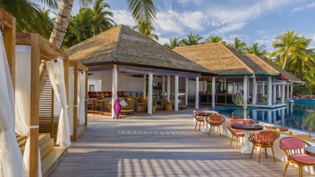 Cinnamon Hakuraa Huraa (29)