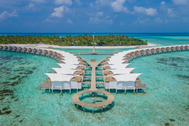 Cinnamon Hakuraa Huraa (39)