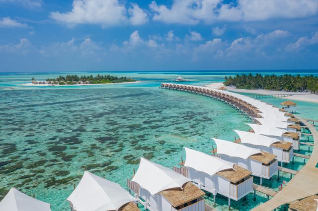 Cinnamon Hakuraa Huraa (40)