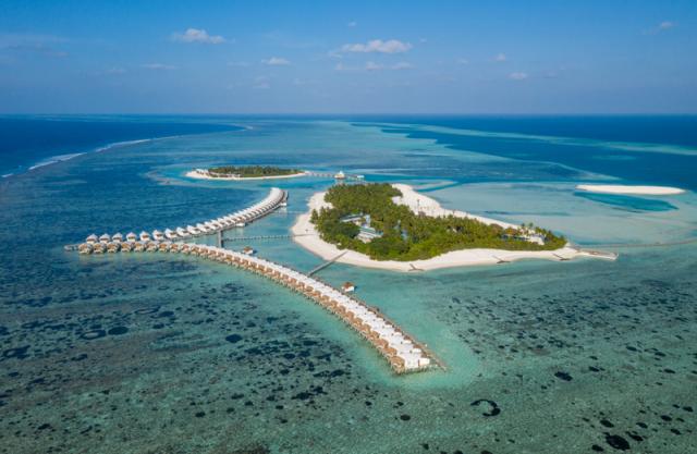 Cinnamon Hakuraa Huraa (5)