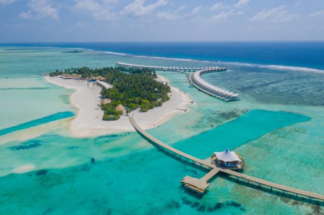 Cinnamon Hakuraa Huraa (3)