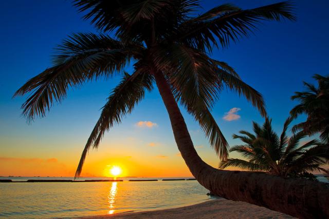Kurumba ext1 (8)