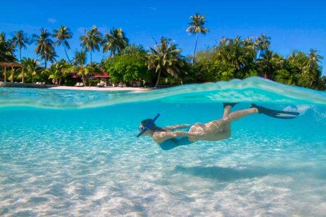 Kurumba facil1 (12)