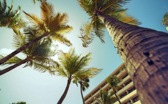 Barcelo Aruba 2 (1)